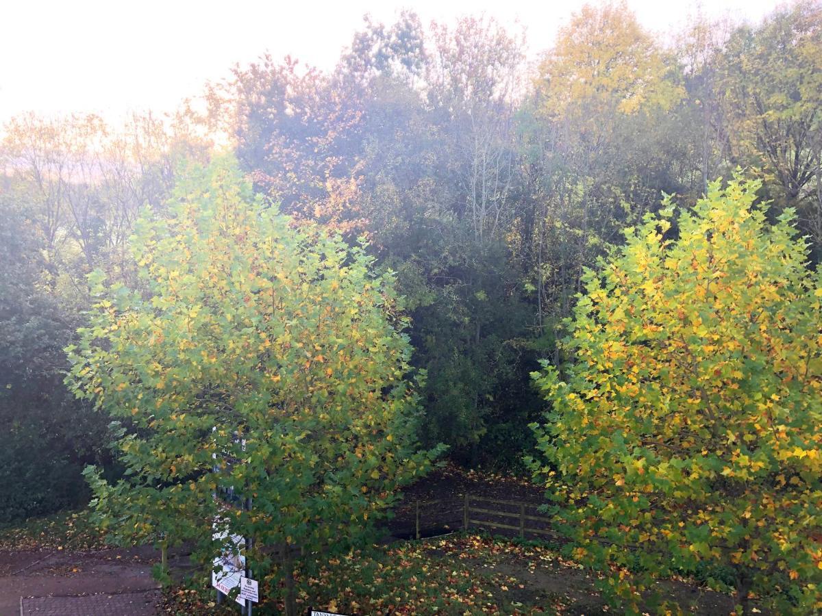 Parkside Penthouse Daire Yeovil Dış mekan fotoğraf